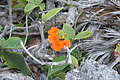 DSC01509 - Bernhard Saalfeld