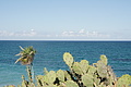 DSC01512 - Bernhard Saalfeld