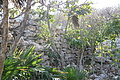 DSC01517 - Bernhard Saalfeld