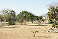 DSC01519 - Bernhard Saalfeld