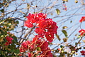 DSC01520 - Bernhard Saalfeld