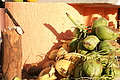 DSC01527 - Bernhard Saalfeld