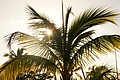 DSC01529 - Bernhard Saalfeld