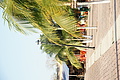 DSC01530 - Bernhard Saalfeld