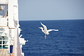 DSC01588 - Bernhard Saalfeld