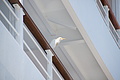 DSC01593 - Bernhard Saalfeld
