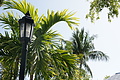 DSC01608 - Bernhard Saalfeld
