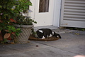 DSC01617 - Bernhard Saalfeld