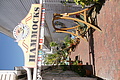 DSC01665 - Bernhard Saalfeld