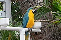 DSC01672 - Bernhard Saalfeld