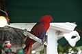 DSC01674 - Bernhard Saalfeld