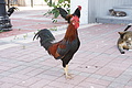 DSC01682 - Bernhard Saalfeld