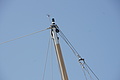DSC01695 - Bernhard Saalfeld