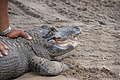DSC01794 - Bernhard Saalfeld