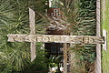 DSC01801 - Bernhard Saalfeld