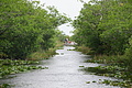 DSC01803 - Bernhard Saalfeld