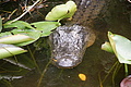 DSC01805 - Bernhard Saalfeld