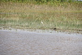 DSC01817 - Bernhard Saalfeld