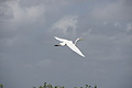 DSC01819 - Bernhard Saalfeld