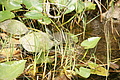 DSC01834 - Bernhard Saalfeld