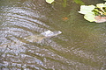 DSC01837 - Bernhard Saalfeld