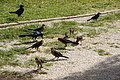 DSC01840 - Bernhard Saalfeld