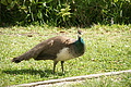 DSC01841 - Bernhard Saalfeld