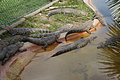 DSC01848 - Bernhard Saalfeld