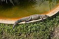 DSC01850 - Bernhard Saalfeld