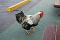 DSC01860 - Bernhard Saalfeld