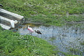 DSC02002 - Bernhard Saalfeld