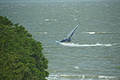 DSC02003 - Bernhard Saalfeld