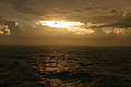 DSC02020 - Bernhard Saalfeld