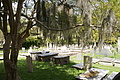 DSC02133 - Bernhard Saalfeld