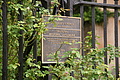 DSC02200 - Bernhard Saalfeld