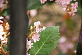 DSC02202 - Bernhard Saalfeld