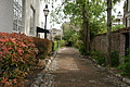 DSC02203 - Bernhard Saalfeld