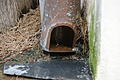 DSC02219 - Bernhard Saalfeld