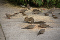 DSC02239 - Bernhard Saalfeld