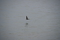DSC02266 - Bernhard Saalfeld