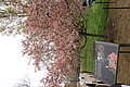 DSC02383 - Bernhard Saalfeld