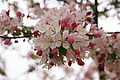 DSC02384 - Bernhard Saalfeld