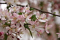 DSC02385 - Bernhard Saalfeld