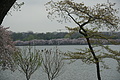 DSC02416 - Bernhard Saalfeld