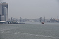 DSC02550 - Bernhard Saalfeld