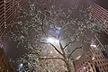 DSC02728 - Bernhard Saalfeld