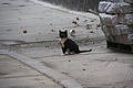 DSC02730 - Bernhard Saalfeld