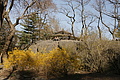 DSC02811 - Bernhard Saalfeld