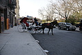 DSC02860 - Bernhard Saalfeld