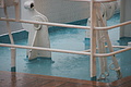 DSC03029 - Bernhard Saalfeld